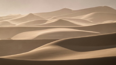 Desert