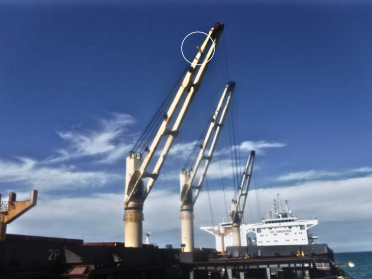 HerculesPro Enhances Visibility & Communication During Dry Bulk Cargo Loading
