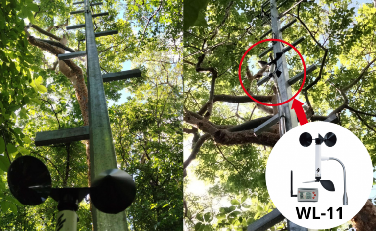 Research Project Using Scarlet WL-21 Wind Speed & Direction Data Logger