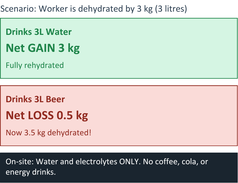 Comparison showing that drinking 3 liters of water fully rehydrates a worker, while drinking 3 liters of beer worsens dehydration due to fluid loss.