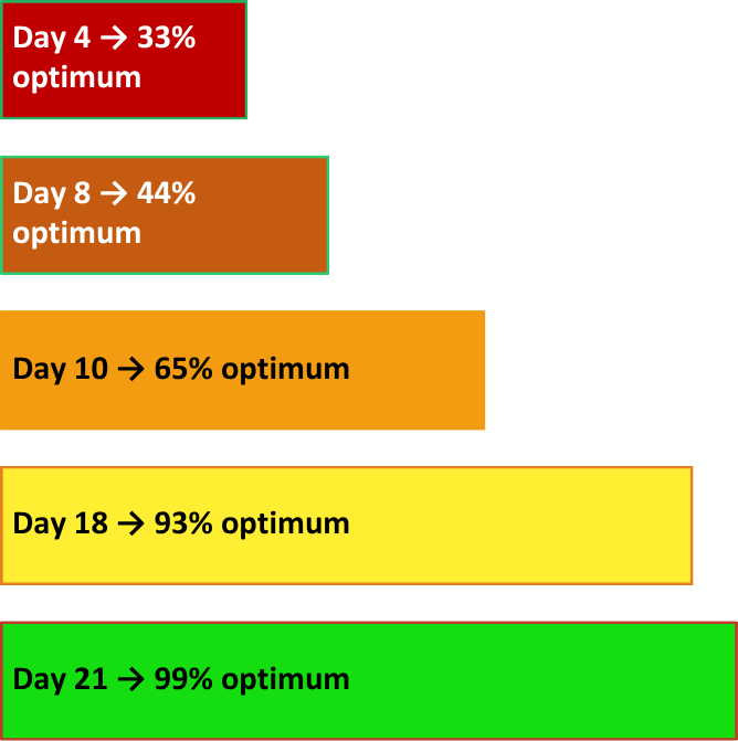Timeline of heat acclimatisation showing improvement from 33% on day 4 to 99% optimal performance by day 21.