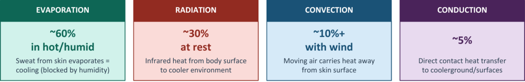 Four-panel diagram showing ways the body loses heat: Evaporation (~60% in hot/humid conditions, sweat evaporating from skin but limited by humidity), Radiation (~30% at rest, heat emitted from the body to cooler surroundings), Convection (~10% or more with wind, moving air carrying heat away from the skin), and Conduction (~5%, direct heat transfer through contact with cooler surfaces).