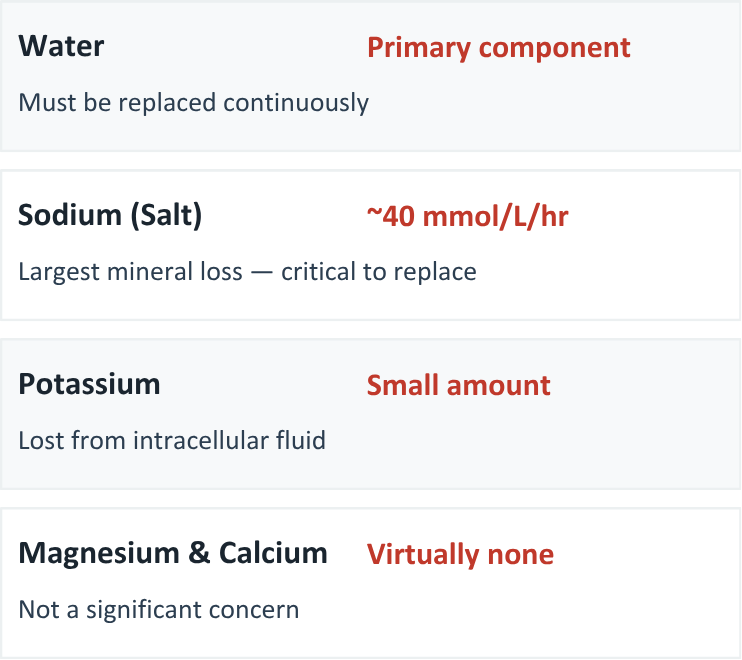 What the body loses during heat stress (like heavy sweating)