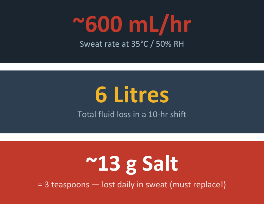 Sweat rate ~600 mL/hr; ~6 L fluid loss in 10 hours; ~13 g salt (~3 tsp) lost daily.